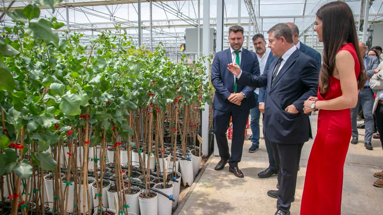 El presidente García-Page, durante su visita a las instalaciones del Grupo Agróptimum, en Villanueva de la Jara (Cuenca)