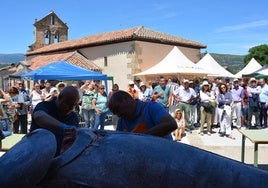 El atún Fernando y sus imponentes 236 kilos llevan el 'ronqueo' a la sierra de Madrid