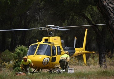 Castilla y León lanza una plataforma de información en tiempo real de incendios forestales