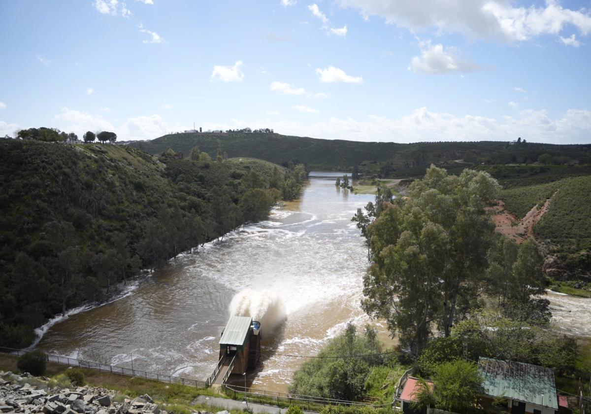 El embalse de Aznalcóllar, en abril de 2024