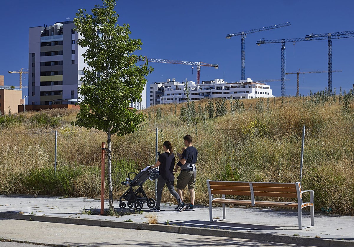Una pareja pasea junto al solar de El Cañaveral proyectado como un gran parque central