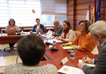 Castilla y León pide al Gobierno un «especial cuidado» en la extensión de fibra hacia las comunidades que «siempre han estado a la cola»