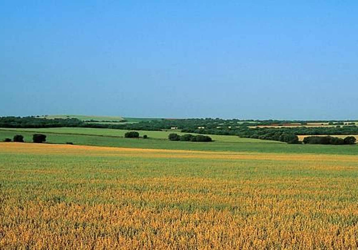 Vox apoya el proyecto de tierras raras de Quantum Minería en Ciudad Real, mientras crece la oposición en la provincia