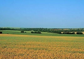 Vox apoya el proyecto de tierras raras de Quantum Minería en Ciudad Real, mientras crece la oposición en la provincia