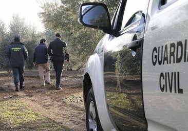 La Audiencia de Córdoba condena a un guardia civil a 6 meses de inhabilitación por no perseguir el robo de ganado