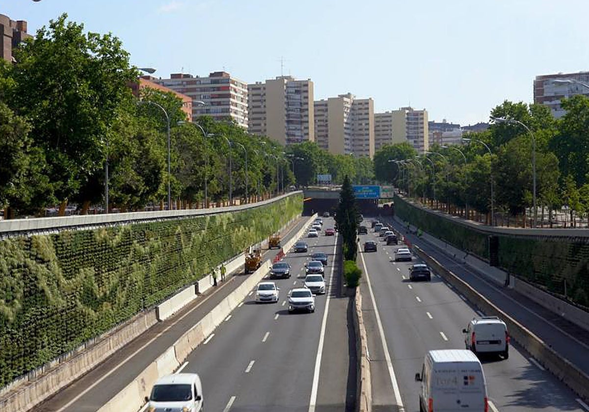Los jardines verticales de la M-30, recién instalados, el pasado verano