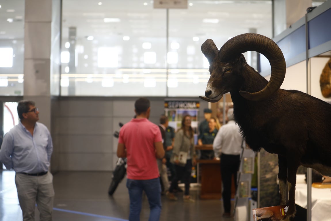 Las imágenes de Intercaza en su nueva ubicación del Centro de Ferias y Convenciones de Córdoba