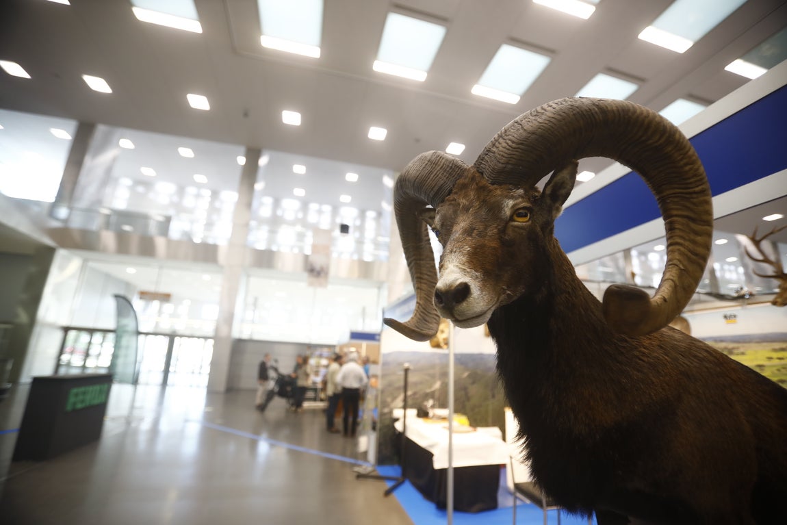 Las imágenes de Intercaza en su nueva ubicación del Centro de Ferias y Convenciones de Córdoba