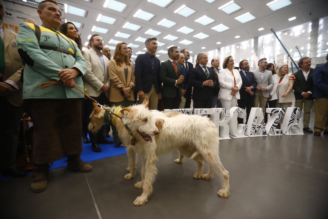 Las imágenes de Intercaza en su nueva ubicación del Centro de Ferias y Convenciones de Córdoba