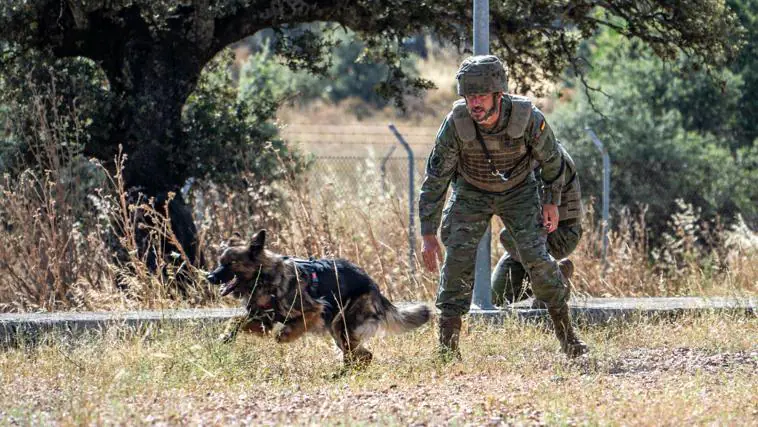 Un equipo canino de detección de explosivos de la BRI X de Córdoba, en los Juegos Olímpicos de París