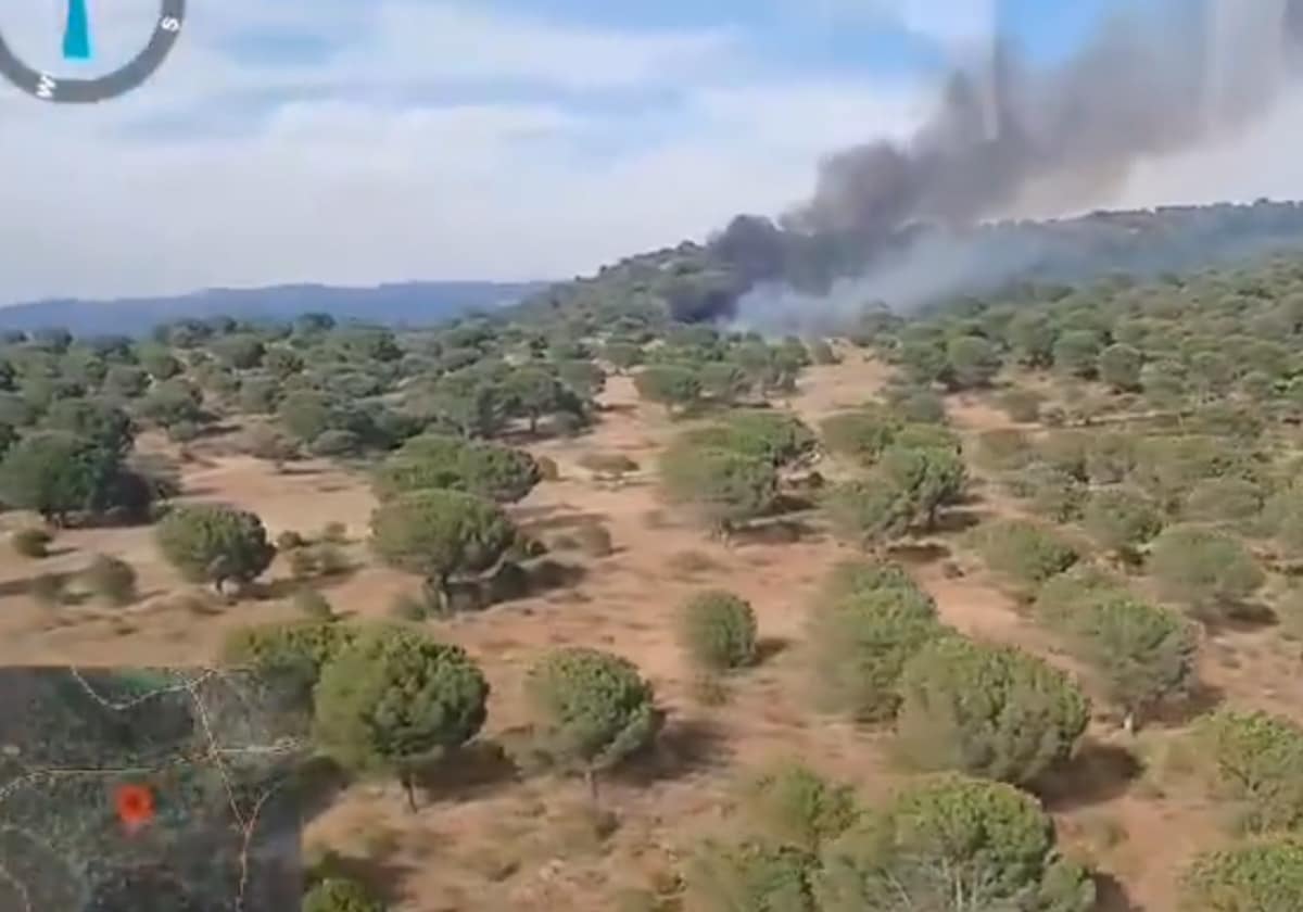 Imagen de la columna de humo por el fuego