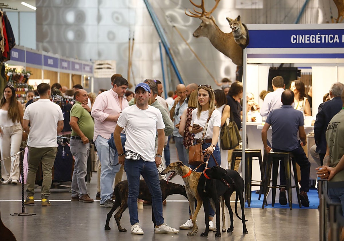 Visitantes en Intercaza