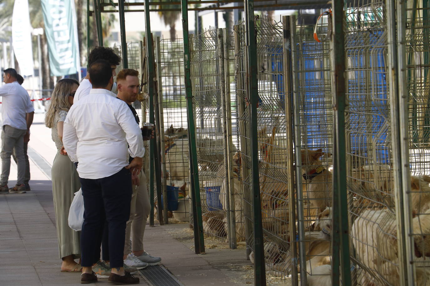 Fotos: el animado ambiente en Intercaza en Córdoba