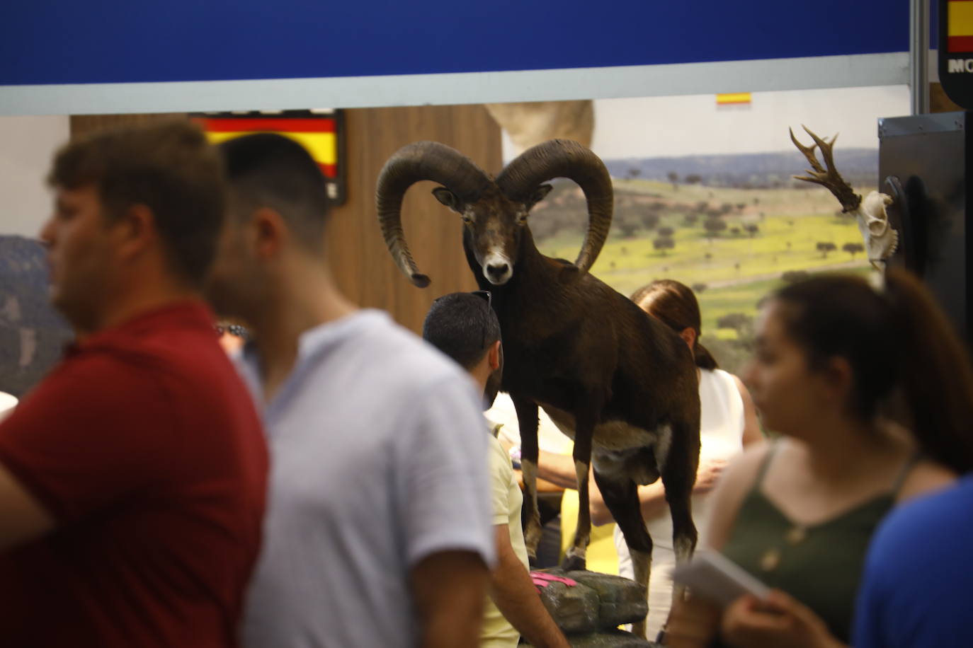 Fotos: el animado ambiente en Intercaza en Córdoba