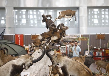 El animado ambiente en Intercaza en Córdoba