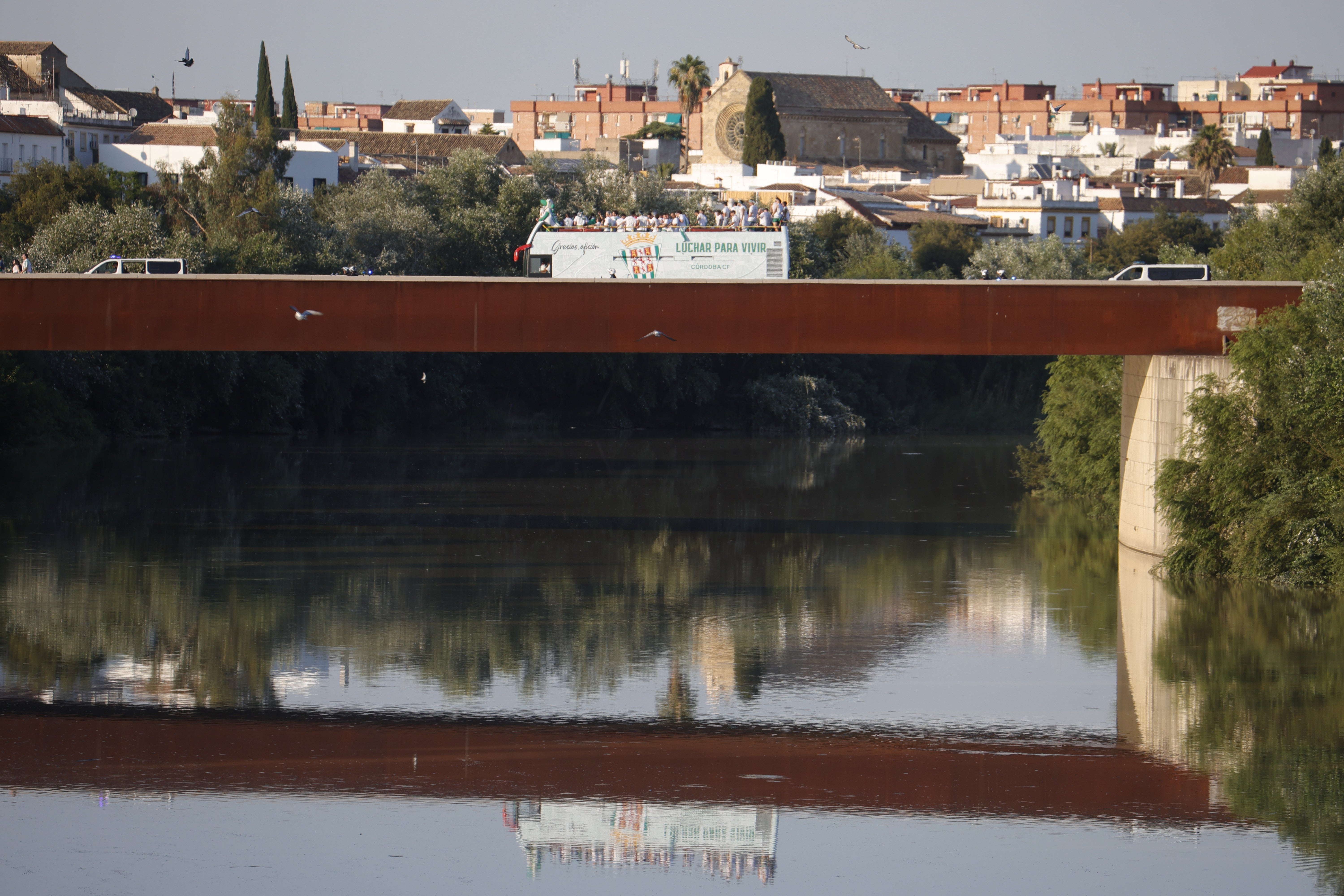 Las imágenes de la multitudinaria rúa del Córdoba CF por las calles
