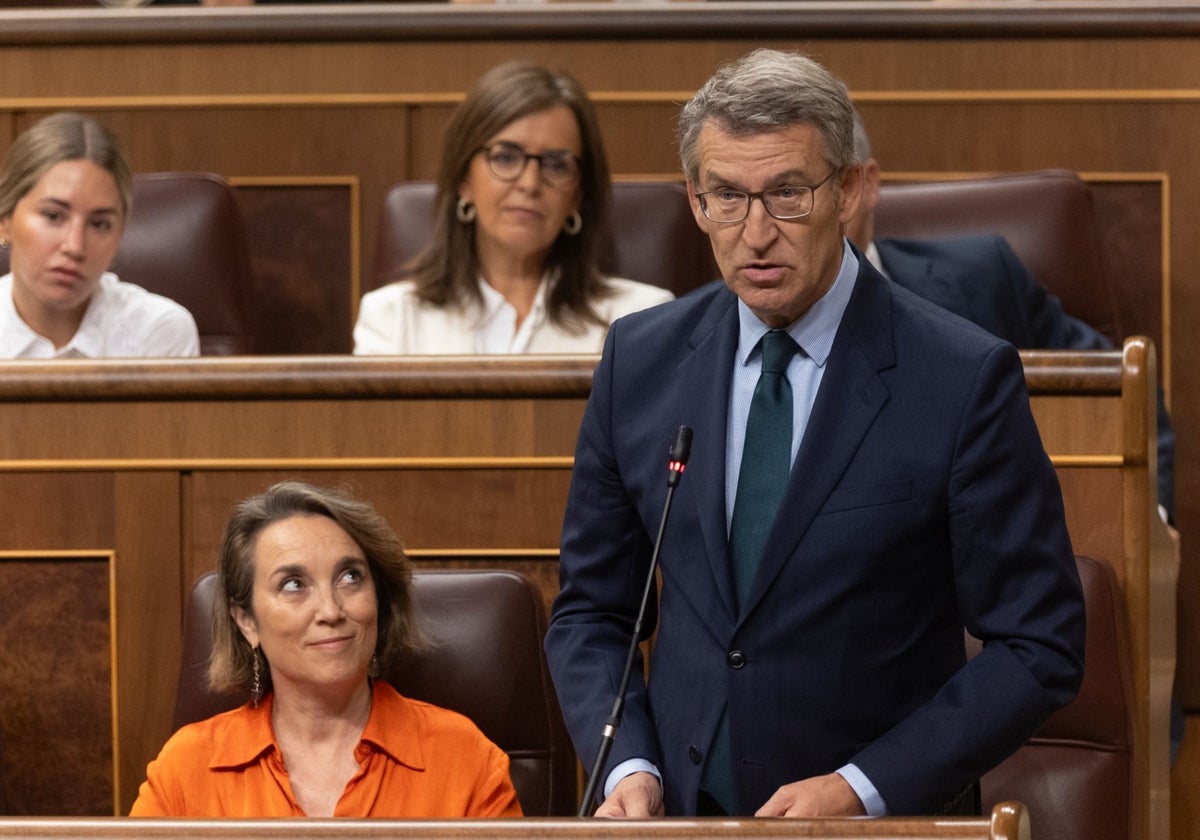 El líder de la oposición, Alberto Núñez Feijóo, en la sesión de control del Congreso al Gobierno