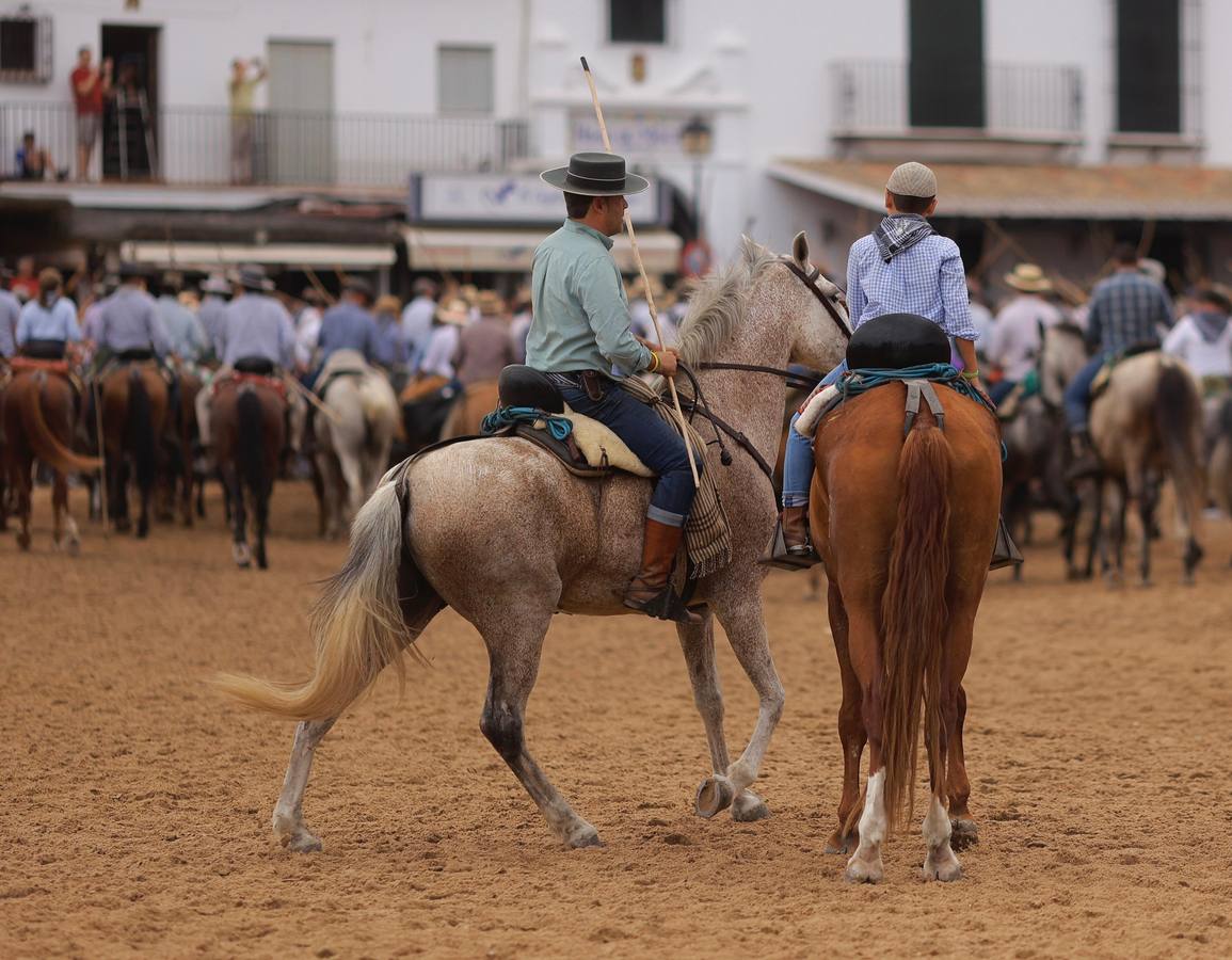 Espectaculares imágenes de la Saca de las Yeguas a su paso por El Rocío