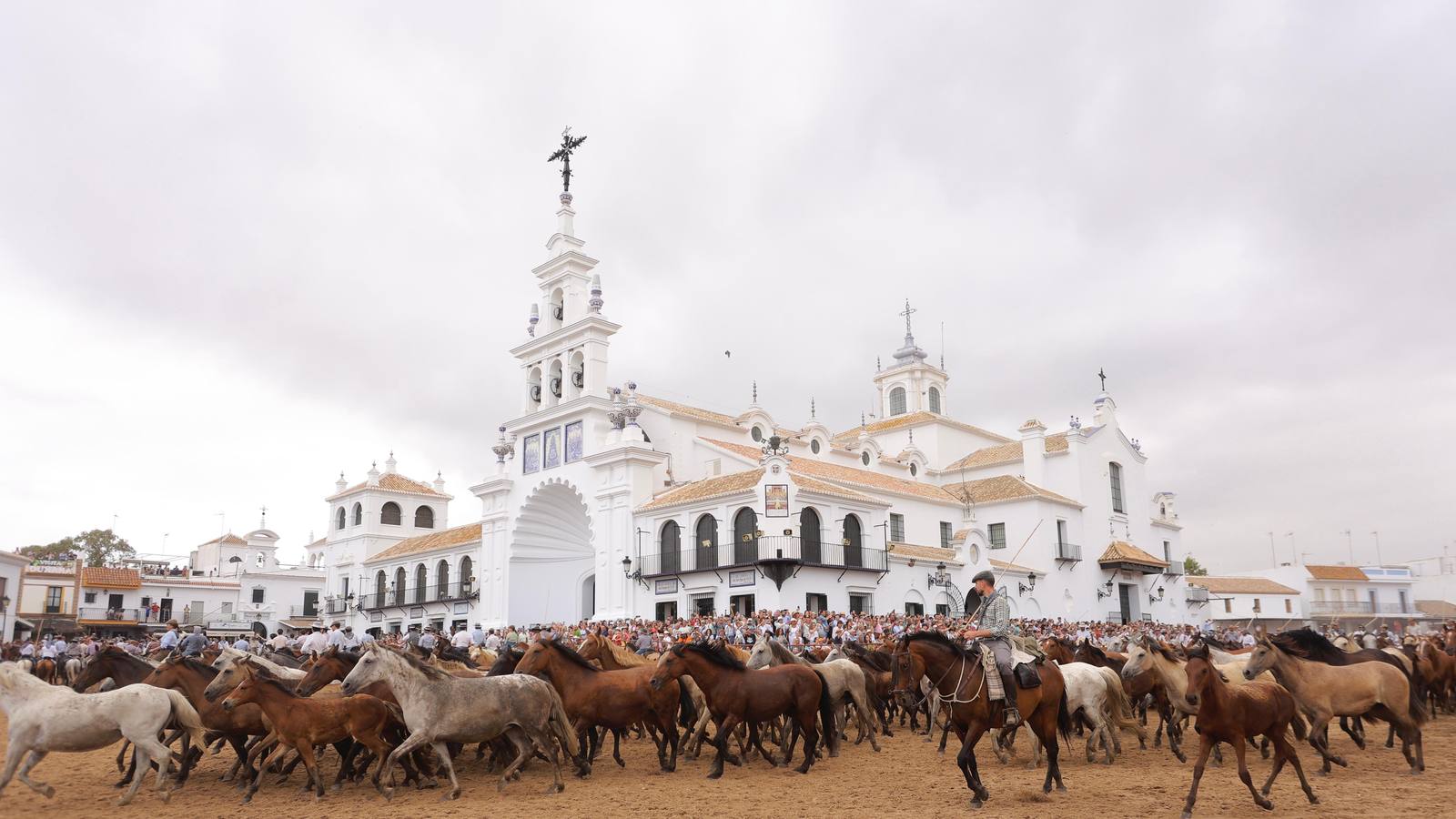 Espectaculares imágenes de la Saca de las Yeguas a su paso por El Rocío