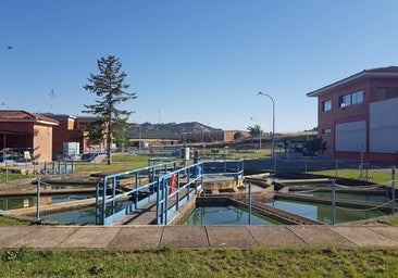 Innovación y digitalización para la transición ecológica