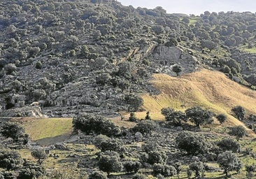 La nueva vida de las canteras de Alpedrete