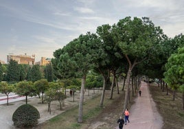 Una nueva ruta para ciclistas y peatones conectará el Jardín del Turia y el puente de Astilleros en Valencia