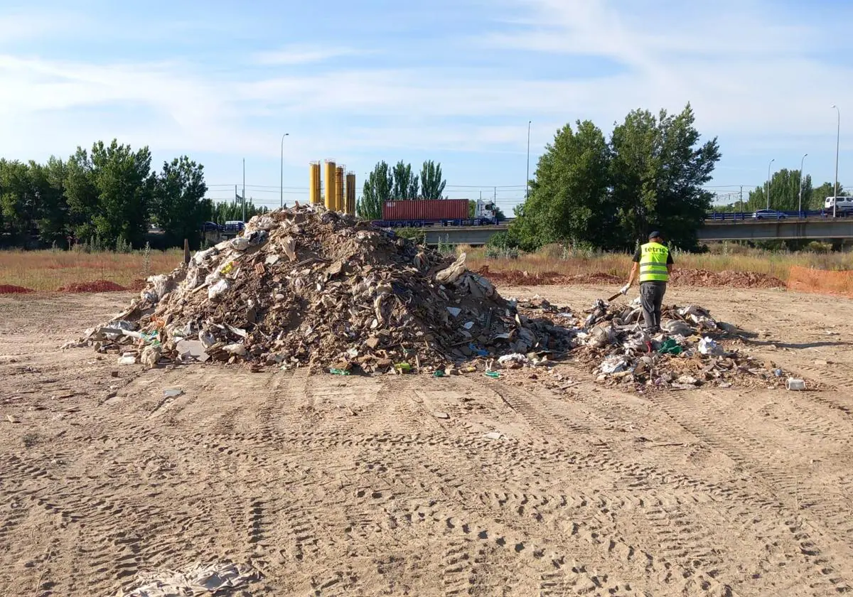 Técnicos de la Comunidad de Madrid durante los trabajos de limpieza del entorno de río Jarama