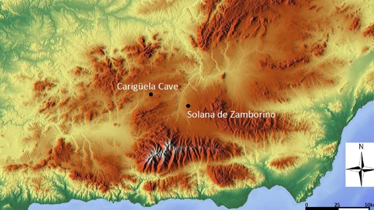 Descubren la segunda evidencia de un león de las cavernas en el Sur de España