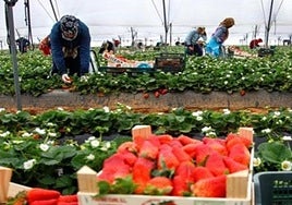 La consejera de Economía, sobre la reducción de la jornada laboral: «Puede reducir la productividad, un problema tradicional de España»