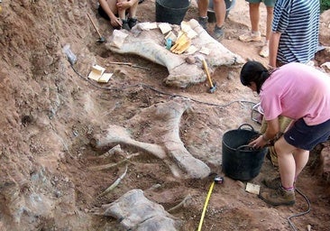 Las excavaciones en la Sierra de la Demanda se centrarán en dos yacimientos con restos de dinosaurios y vegetales