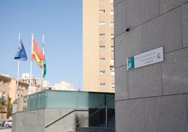 Dos años y tres meses de prisión por apuñalar y apedrear a su compañero de piso en El Ejido