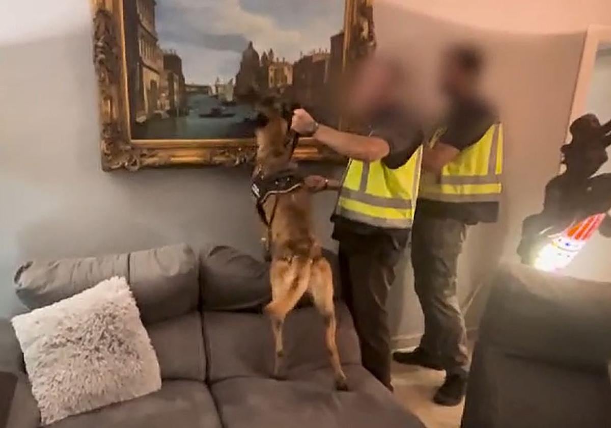 Un momento del dispositivo policial de detención