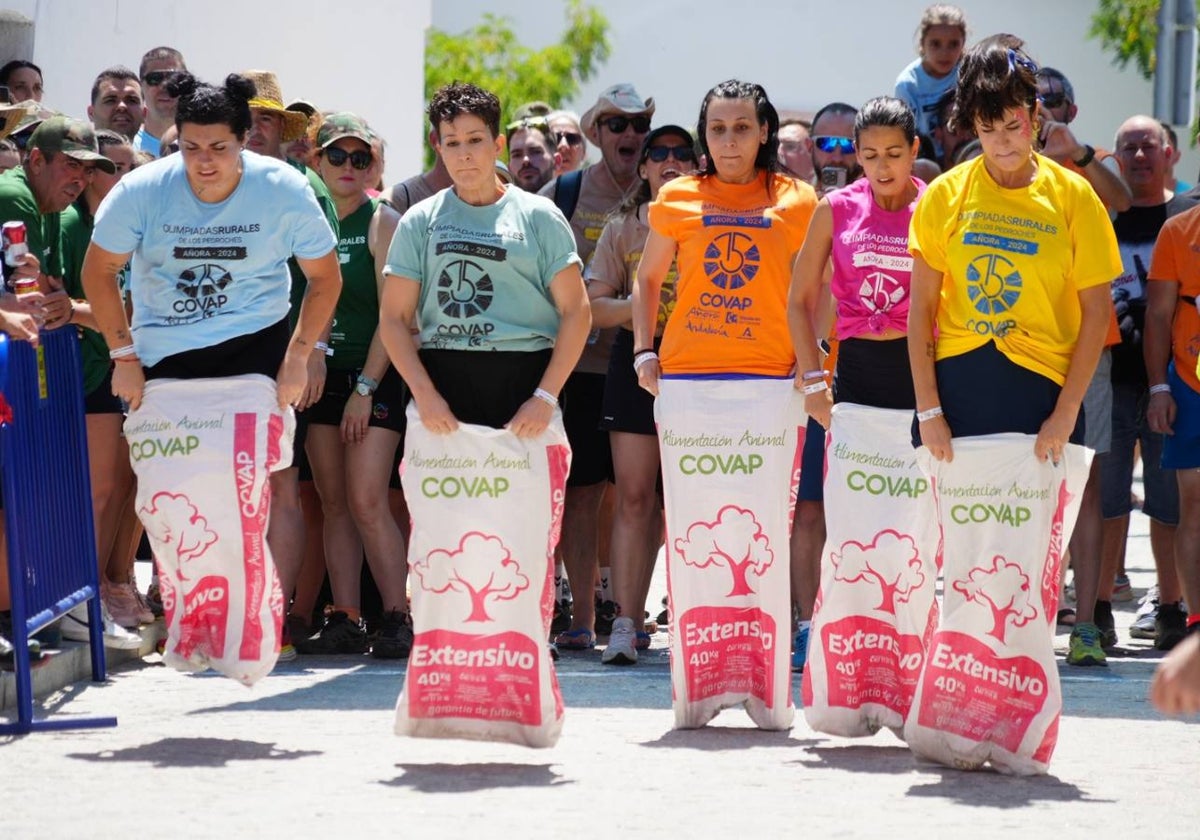 Un momento de la carrera de sacos, este sábado en Añora