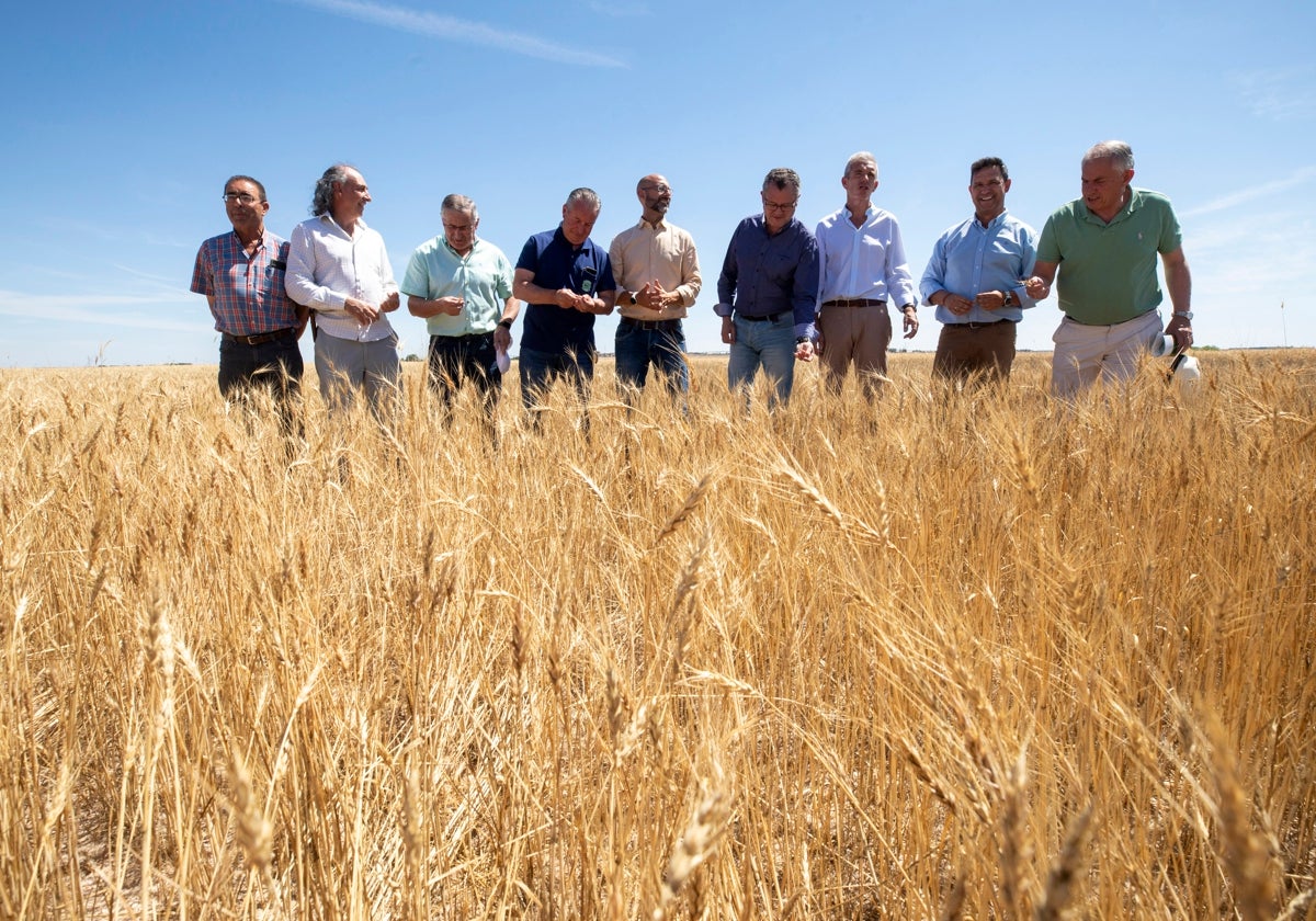 El consejero de Agricultura y Ganadería, Gerardo Dueñas, parte de su equipo y los representantes de las organizaciones profesionales agrarias presentan los datos de la cosecha en Ávila