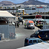 Detenidos los tripulantes de un barco que transportaba vacas en un operativo antidroga en Canarias