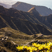 Ecotasa en Tenerife: el barranco de Masca será 'de pago' desde este viernes