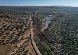 La Junta de Andalucía aporta 2,3 millones de euros mejorar los humedales de Córdoba