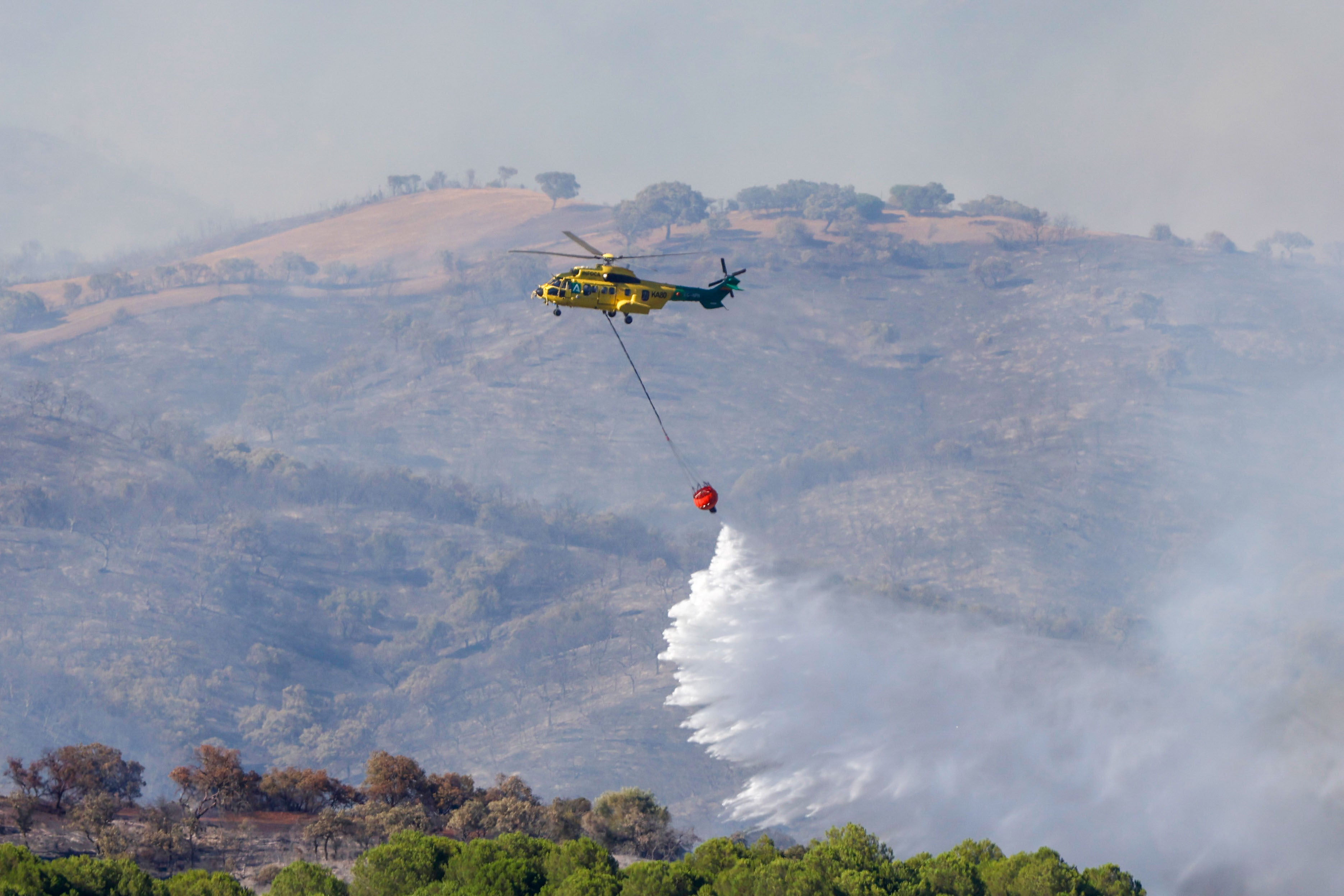 La lucha del operativo del Infoca con el complejo incendio de Obejo, en imágenes