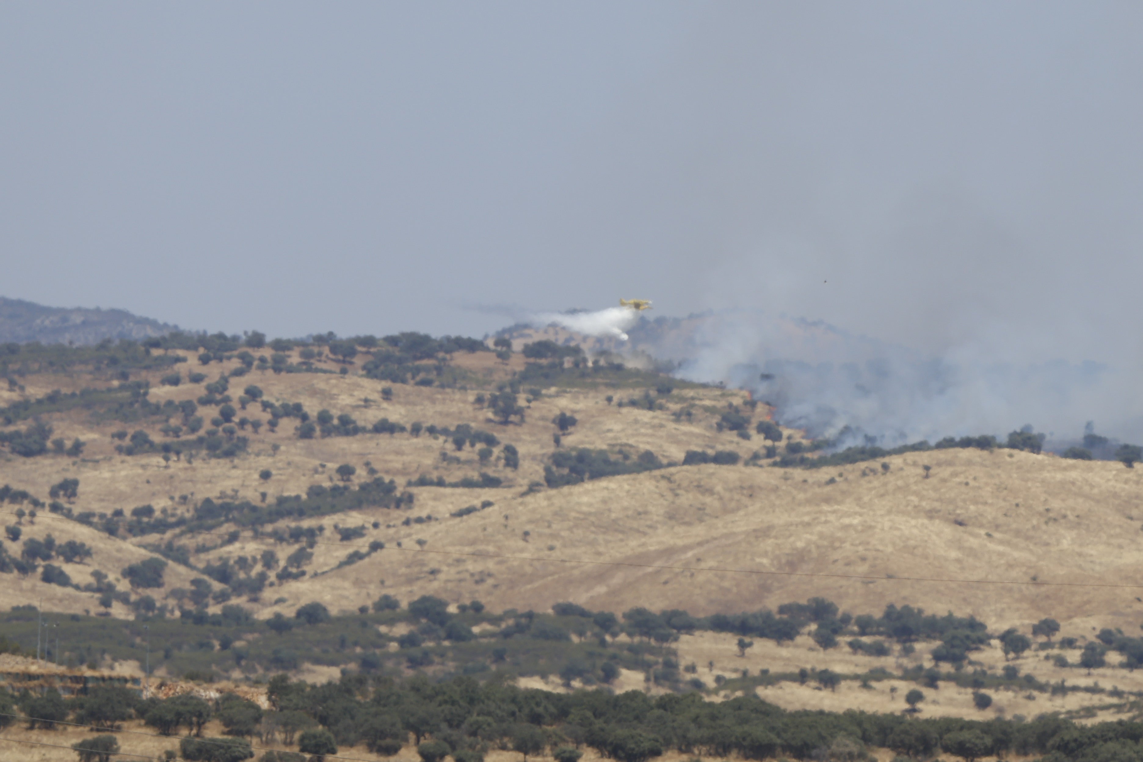 La lucha del operativo del Infoca con el complejo incendio de Obejo, en imágenes