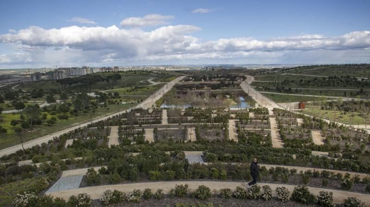 Parques y jardines de Valdebebas