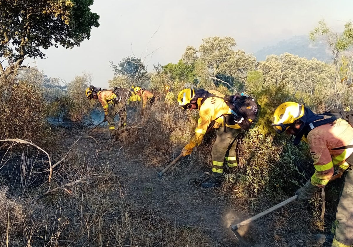 Bomberos forstales del Infoca actúan sobre una zona del incendio de Obejo