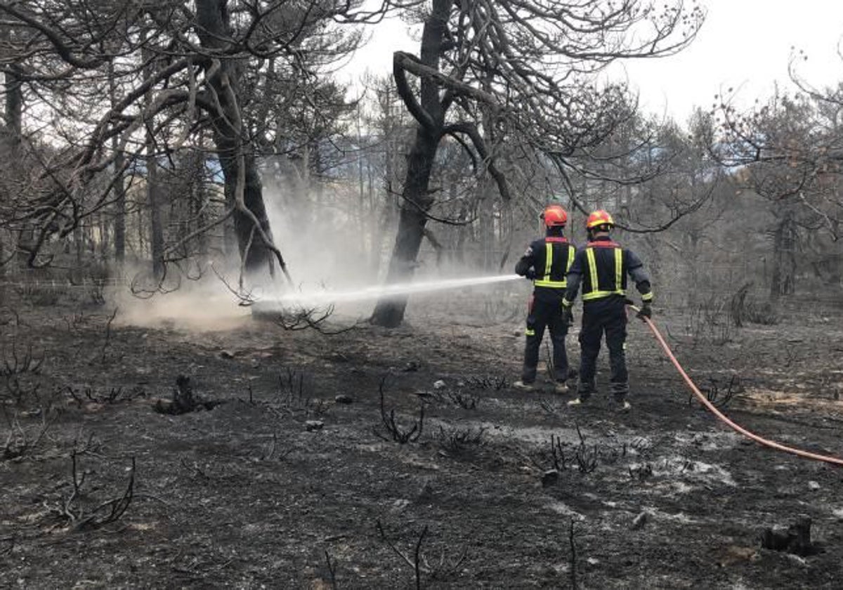 Extinción de un incendio en un monte de Madrid en una campaña pasada