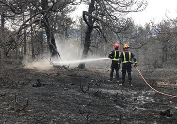 El riesgo extremo de incendios desde hoy pone a 6.000 efectivos en alerta en la Comunidad de Madrid