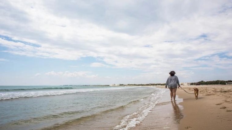 Imagen de archivo de la playa de Pinedo (Valencia)