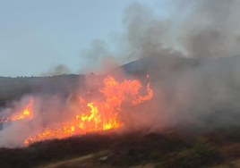 Tenerife acota el cerco a los pirómanos autores de cuatro incendios forestales esta semana