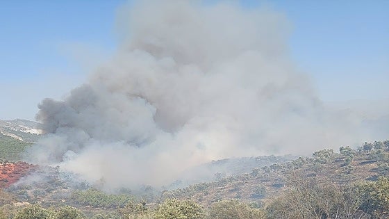 Desalojadas 70 viviendas y cortadas dos carreteras por un incendio forestal en la localidad granadina de Víznar