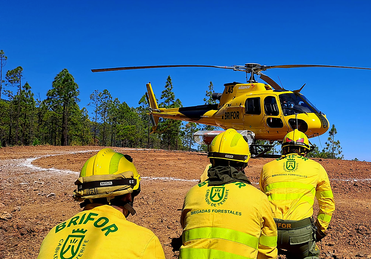 Operativos BRIFOR en Tenerife