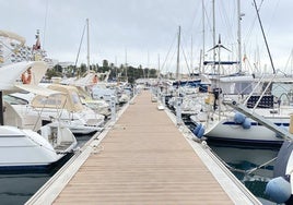 El Club Nàutic La Vila Joiosa impulsa un proyecto pionero para la recuperación de la biodiversidad marina