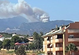 Declarado un incendio forestal en la localidad malagueña de Casares