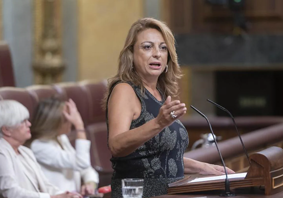 La diputada de Coalición Canaria (CC) en el Congreso, Cristina Valido, en una intervención en foto de archivo